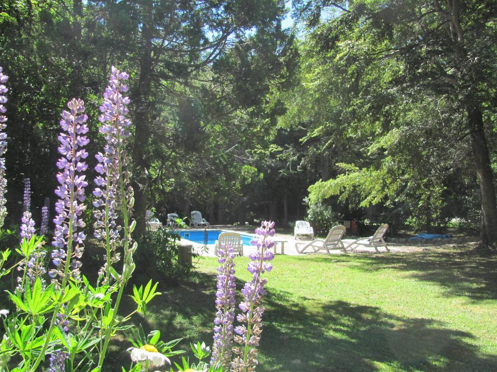 Hosteria Pichi Rincon Villa La Angostura Esterno foto